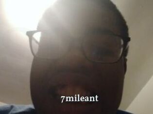 7mileant