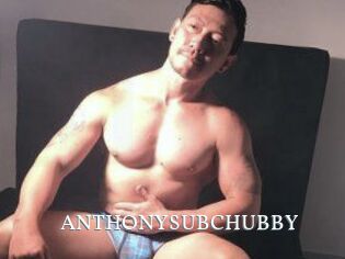 ANTHONYSUBCHUBBY