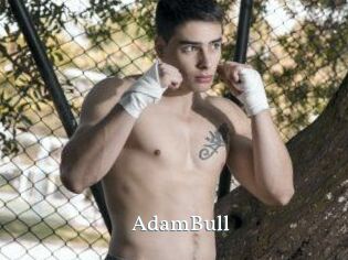 AdamBull