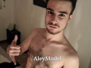 AleyModel