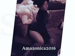 Amazonica2016