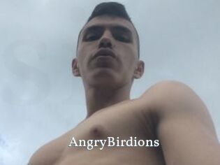 AngryBirdions