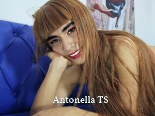 Antonella_TS