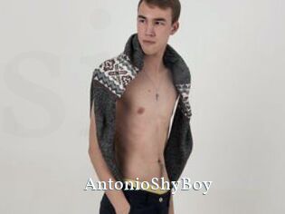 AntonioShyBoy