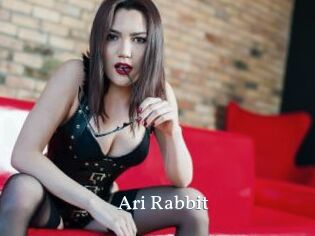 Ari_Rabbit