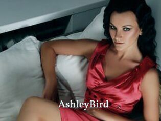 AshleyBird