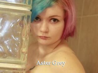 Aster_Grey