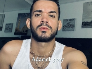 Adarick_grey