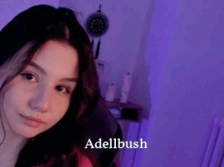 Adellbush