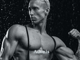 Adonis