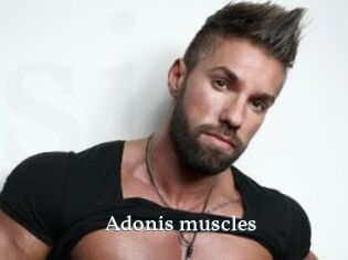 Adonis_muscles