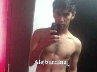 Alejburning