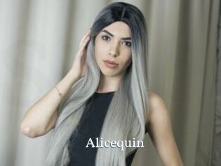 Alicequin