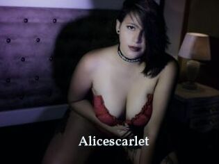 Alicescarlet