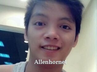 Allen_hornet