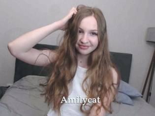 Amilycat