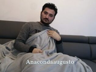 Anacondaaugusto