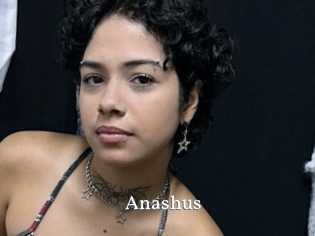 Anashus