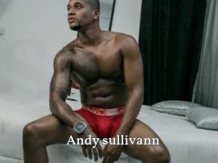 Andy_sullivann