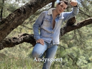 Andysgeert