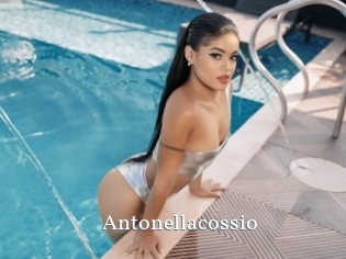 Antonellacossio