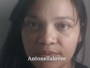 Antonellalovee