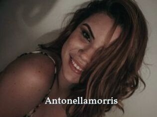 Antonellamorris