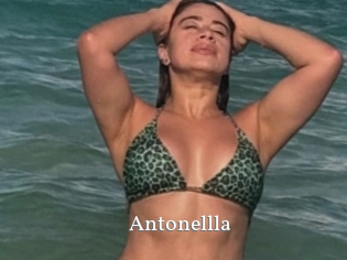 Antonellla