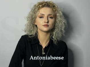 Antoniabeese