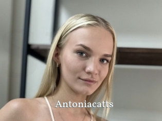 Antoniacatts