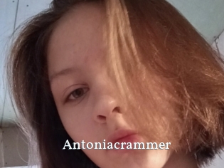 Antoniacrammer