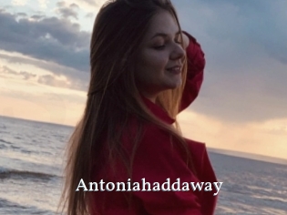 Antoniahaddaway