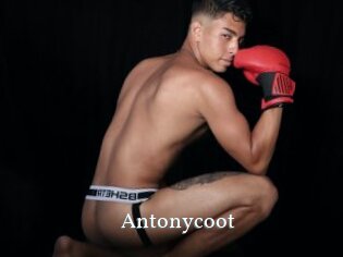 Antonycoot