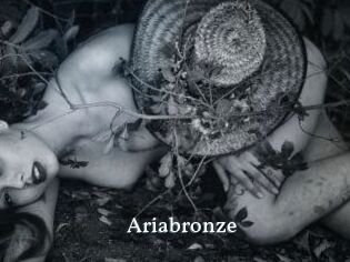 Ariabronze