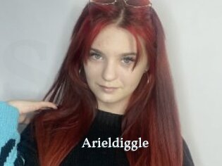 Arieldiggle