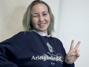 Arleighdagg