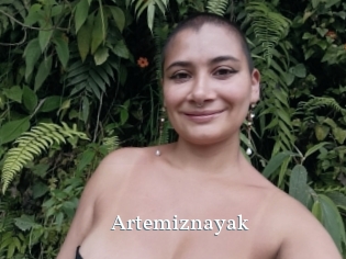 Artemiznayak