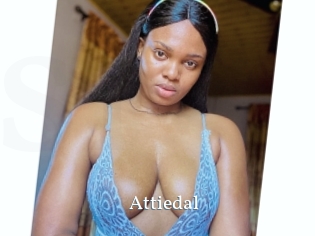 Attiedal
