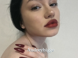 Audreybigge