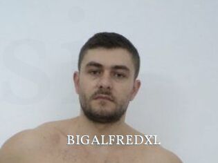 BIGALFREDXL