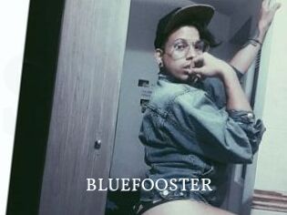 BLUEFOOSTER