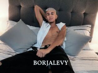 BORJALEVY