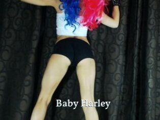 Baby_Harley