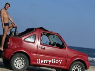 BerryBoy