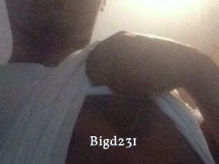 Bigd231