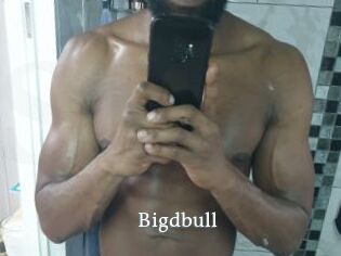 Bigdbull