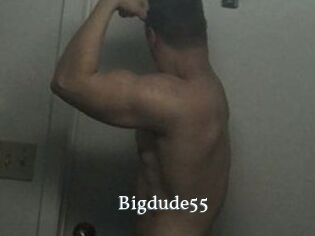 Bigdude55