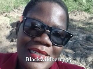 Blackwildberry33