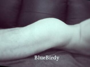 BlueBirdy