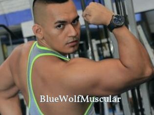 BlueWolfMuscular